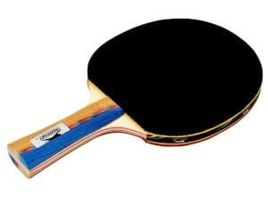 Slazenger Master ITTF Onaylı 6 Yıldız Masa Tenisi Raketi
