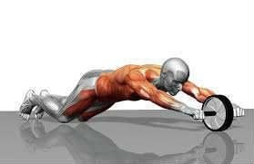 Delta Ab Wheel Karın Egzersiz ve Fitness Tekerleği Siyah-Sarı