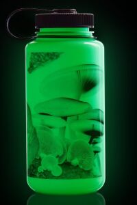 Nalgene Wide Mouth 32 Oz Suluk Matara 1 Litre GloWyld Mushrooms