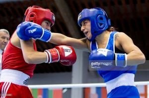 Green Hill Tiger Iba Onaylı Deri Müsabaka Boks Eldiveni Mavi