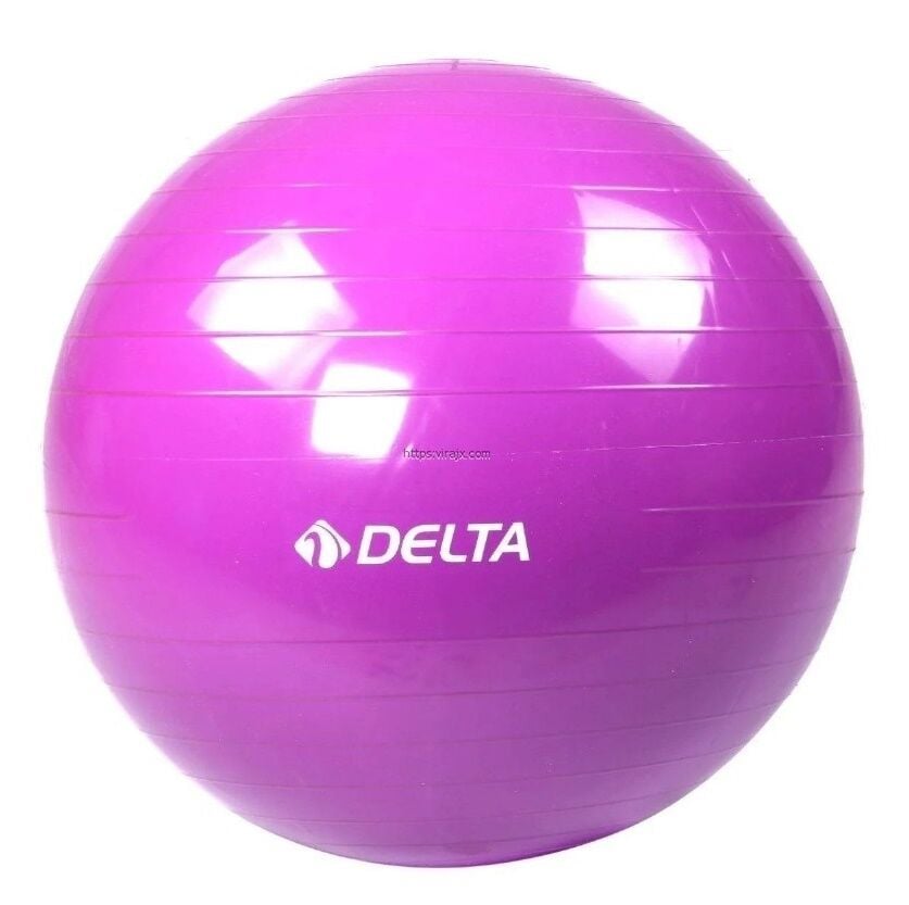 Delta 65 cm. Pilates Topu Mor
