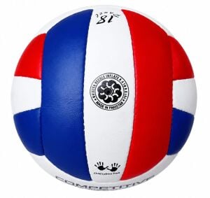 Katze Competitive Voleybol Topu El Dikişli Renkli