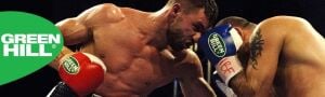 Green Hill Panther Carbon Deri Boks ve Kick-Boks Eldiveni Kırmızı