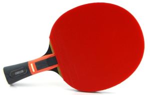 Butterfly Zhang Jike ZJ X6 Masa Tenisi Raketi ITTF Onaylı 85085
